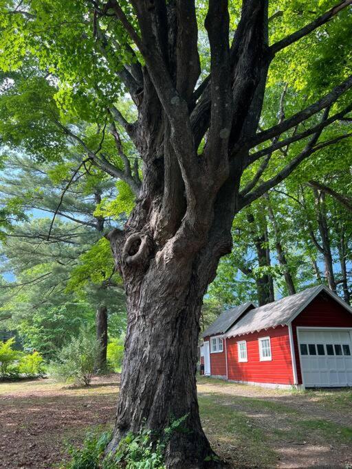 Schoolhouse No. 11 * Hudson Valley Upstate Getaway Stone Ridge Exterior photo